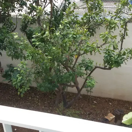 Fourty One סיינט פול ביי